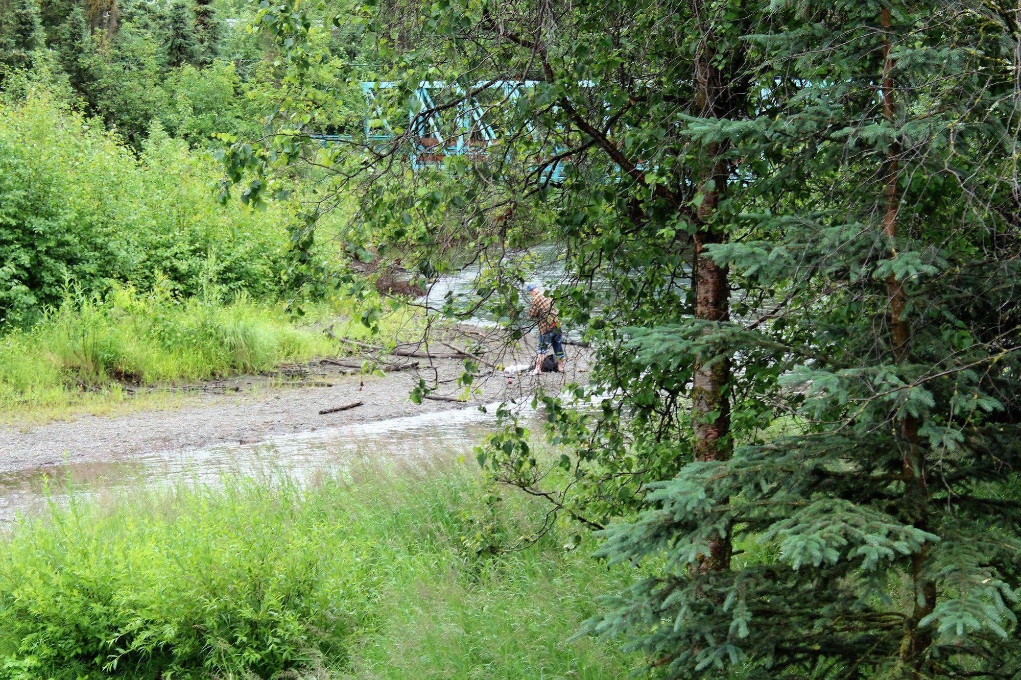 Maria'S Creekside B&B Anchorage Exterior foto